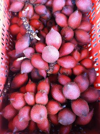 Salacca of thailandの素材