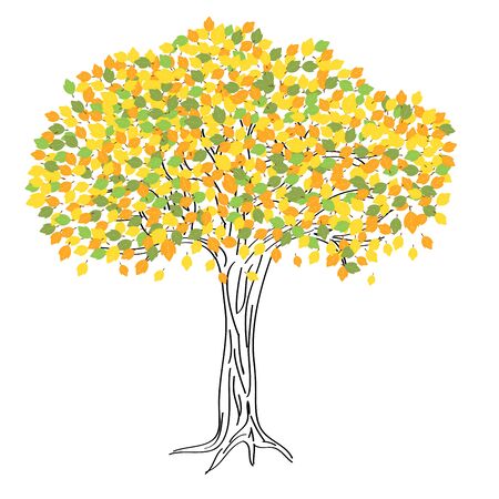 Autumn tree drawing with colorful leavesのイラスト素材