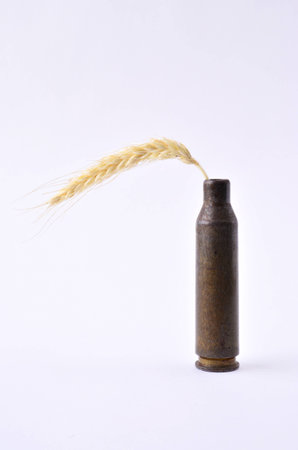 sleeve and spikeの写真素材