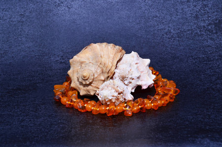 sea souvenirsの写真素材