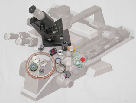 graduation projectの写真素材