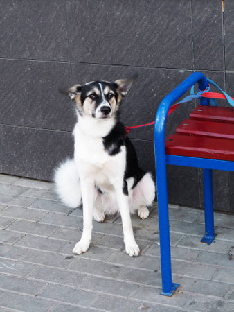 waiting for a friendの写真素材