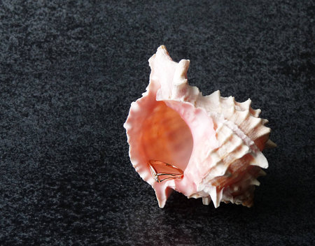 unexpected findの写真素材