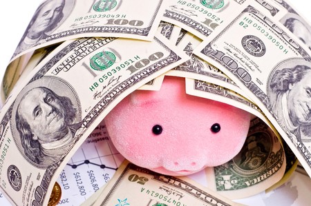 Pig in house from dollars isolated on whiteの写真素材