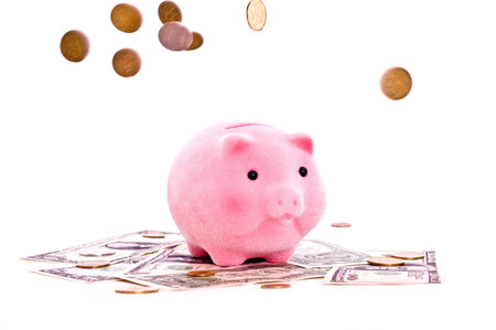 a pink pig stands on the dollars isolated on whiteの写真素材