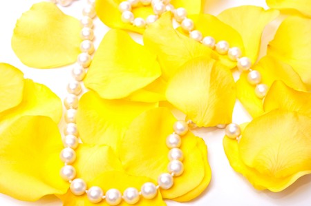 Yellow roses petals and white pearls isolated on white backgroundの写真素材