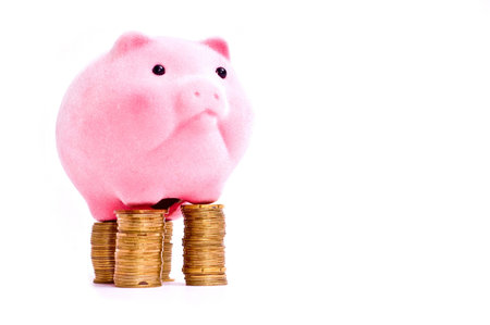 a pink pig stands on the pile of chinks isolated on white