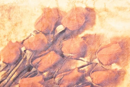 Postal card with red rosesの写真素材