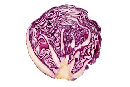 Red cabbage isolated on white backgroundの写真素材