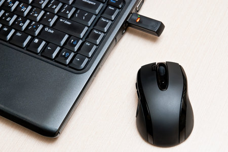 Black mouse connection to pc.
