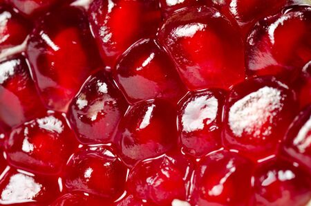 Pomegranate seeds background. Studio shot
の写真素材
