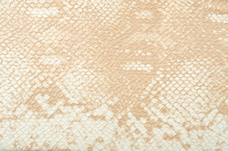 Seamless texture background white snake skin