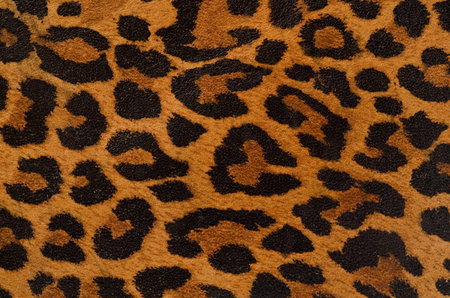 A printed representation of the beautiful markings of a leopard skinの写真素材