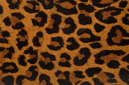 A printed representation of the beautiful markings of a leopard skinの写真素材