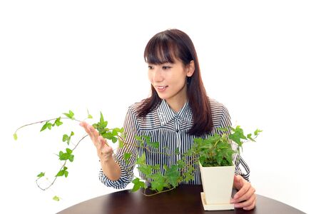 Smiling business womanの写真素材