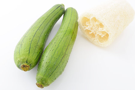 Fresh loofah