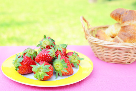 Breakfast in the gardenの写真素材
