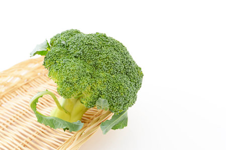 Fresh broccoliの写真素材