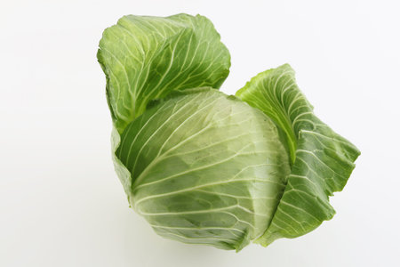 Fresh cabbage