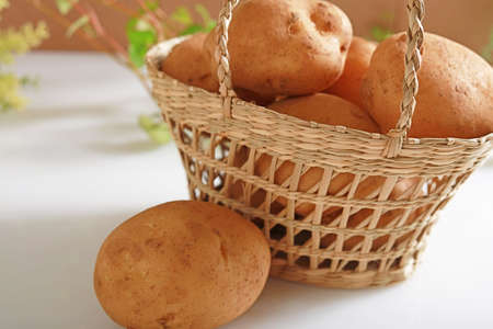 Fresh potatoesの写真素材