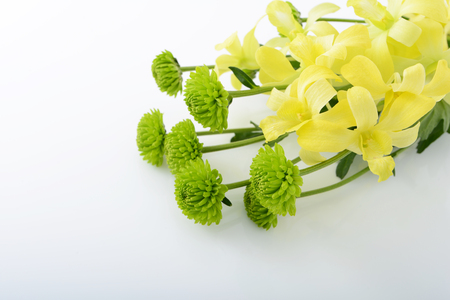 Beautiful flowersの写真素材