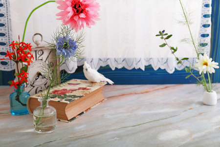 Cute little bird in the roomの写真素材