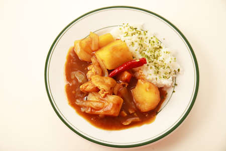 Delicious chicken curry and rice on a dish.の写真素材