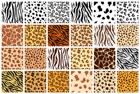 Animal seamless pattern set. Mammals Fur. Collection of print skins. Predators. Cheetah, Giraffe, Tiger, Zebra, Leopard, dalmatian, cattle, Jaguar. Printable Background. Vector illustration.のイラスト素材