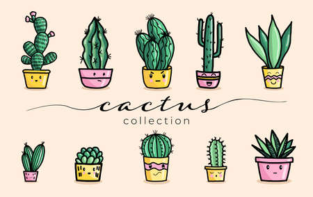 Cute succulent and cactus plant with happy face vector illustration set.のイラスト素材