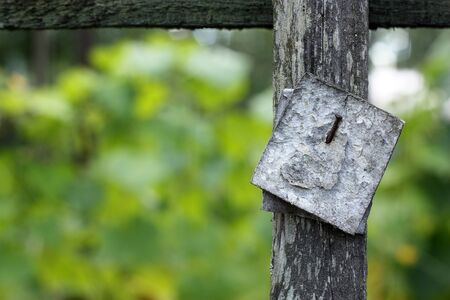 Blank sign nailed to a wooden board in gardenの写真素材