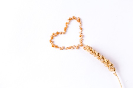 Golden ripe wheat and grain in shape of heart on white backgroundの写真素材