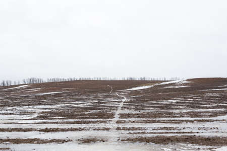 Field with slush and road in winter overcast marky dayの写真素材