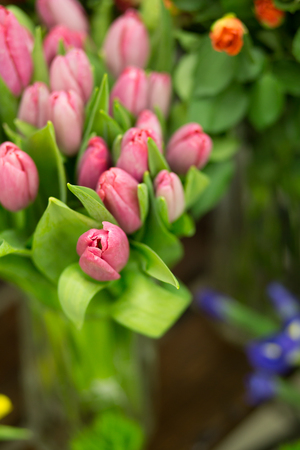 Pink tulpins bouquet from top with green leavesの写真素材