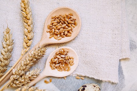 wheat and grain in wooden spoons on textileの写真素材