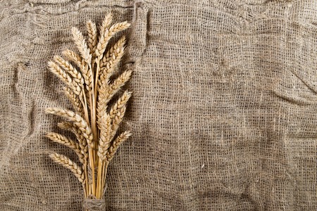 Golden ripe wheat on sackcloth with copy spaceの写真素材