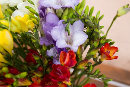 Beautiful purple vivid daffodils bouquet close upの写真素材