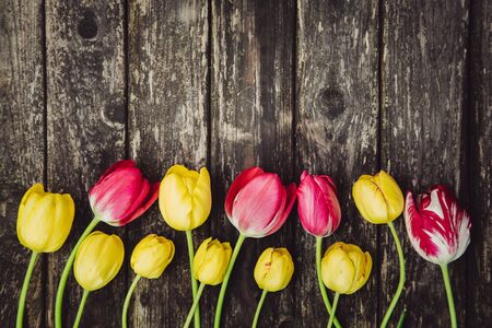 Yellow and pink tulips at the bottom of wooden old vintage background, copy space, selective focusの写真素材