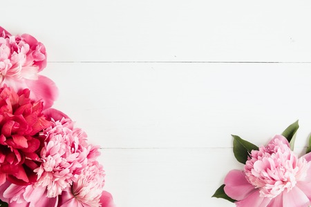 Fresh peonies flowers frame on white wooden background, copy space, selective focus, flat lay