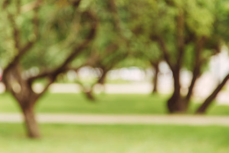 Blurred abstract green background of park alley, copy space, lens blur