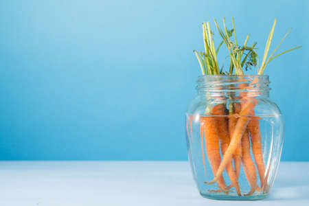 Bunch of small fresh garden carrots in glass bottle of water on bright blue wooden background, copy spaceの写真素材
