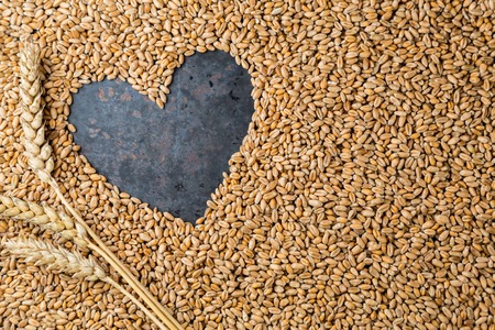 Love harvest, Heart on ripe golden seeds of wheat on metal grey background, copy space, frame, top viewの写真素材