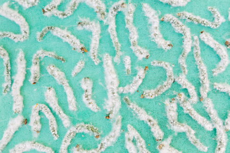 Poplar fluff worms on turquoise background, abstract natural pattern
