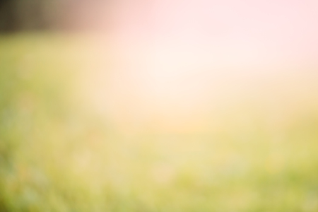 Green bokeh, abstract summer background in sunsetの写真素材