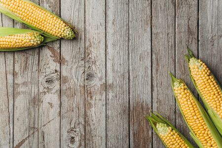 Fresh golden corns on rustic wooden background, copy spaceの写真素材
