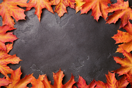 Autumn frame from bright vivid red and yellow maple leaves on black shimmering background. Top view, flat lay. Autumn relax conceptの写真素材