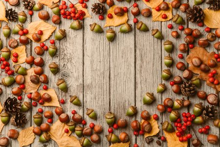 Frame from acorns, yellow leaf, nuts and cones on shabby wooden background, copy spaceの写真素材