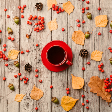 Flat lay autumn background. Cup of tea on rustic grey wooden table with acorns, cones and leaves. Top viewの写真素材