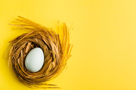 Nest with one blue chicken egg on colorful yellow background, copy space, top view