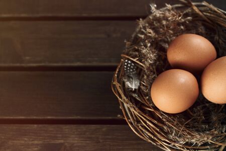Fresh organic hen eggs in natural nest on wooden background. Rustic holiday background. Easter concept. Copy spaceの写真素材