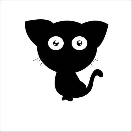 Black catの写真素材